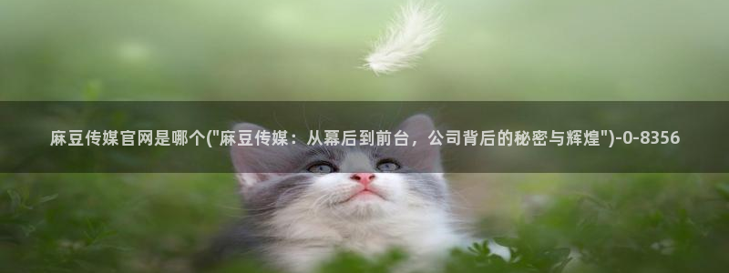 麻豆视频 资源导航：麻豆传媒官网是哪个(\