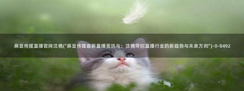 麻豆精选推荐：麻豆传媒直播官网沈樵(\