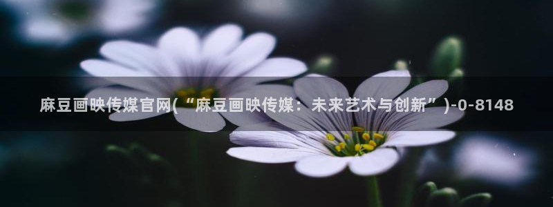 麻豆完整版高清：麻豆画映传媒官网(“麻豆画映传媒：未