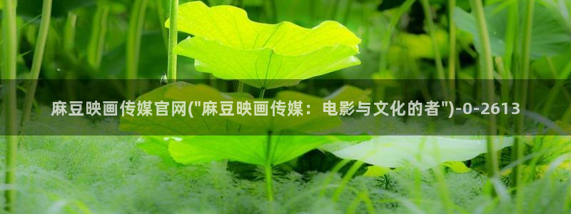 麻豆视频完整版高清：麻豆映画传媒官网(\