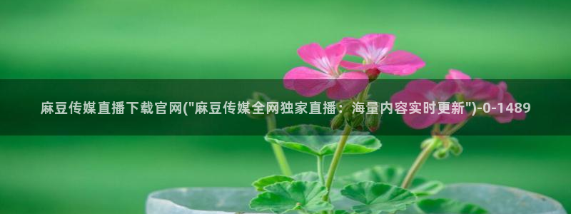 麻豆视频专区导航：麻豆传媒直播下载官网(\