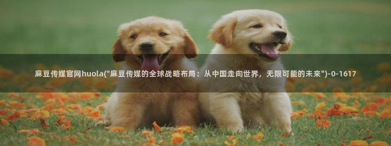 麻豆视频图集完整版：麻豆传媒官网huola(\