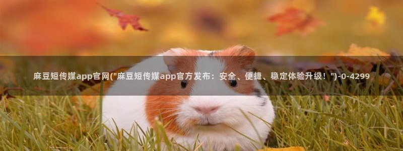麻豆视频最新合集：麻豆短传媒app官网(\