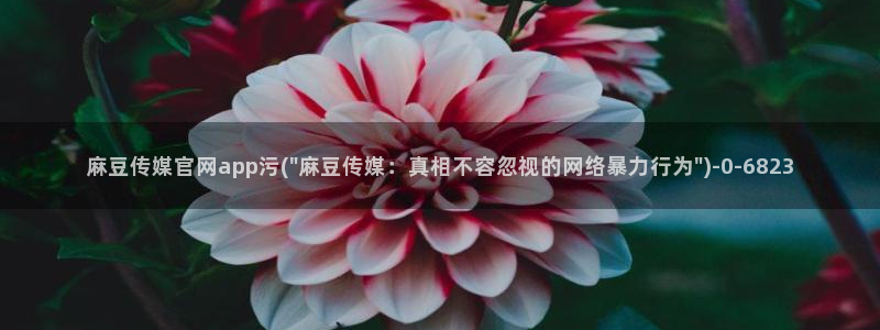 麻豆最新完整版：麻豆传媒官网app污(\