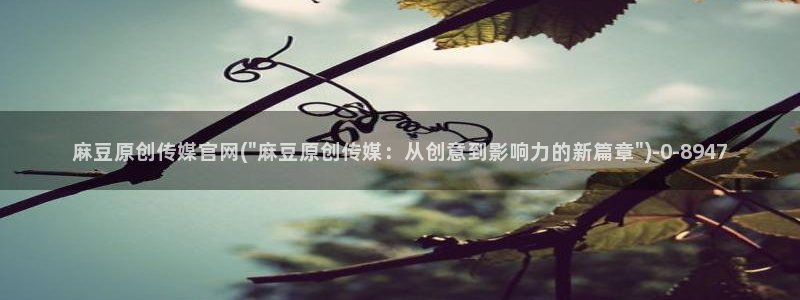 麻豆视频入口完整版：麻豆原创传媒官网(\