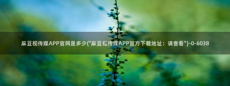 麻豆 完整版专区：麻豆视传媒APP官网是多少(\