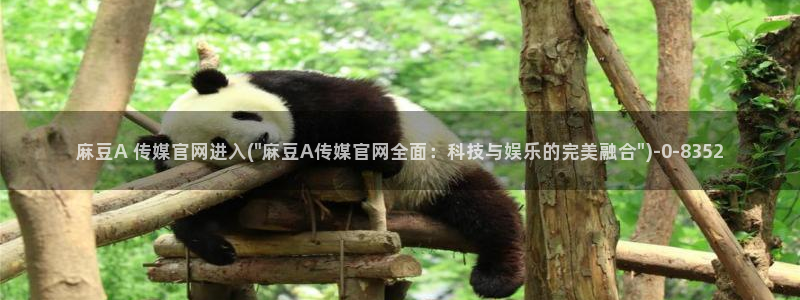 麻豆在线看入口：麻豆A 传媒官网进入(\