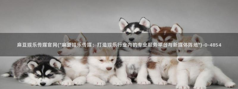 麻豆官方：麻豆娱乐传媒官网(\