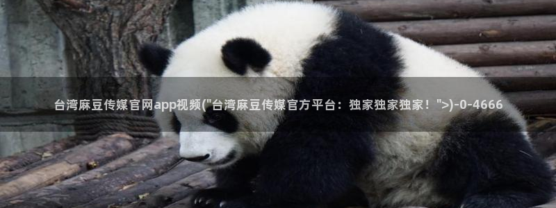麻豆视频 高清：台湾麻豆传媒官网app视频(\