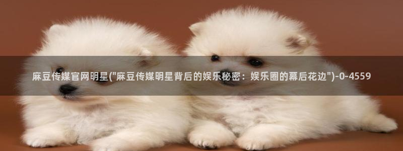 麻豆合集高清：麻豆传媒官网明星(\
