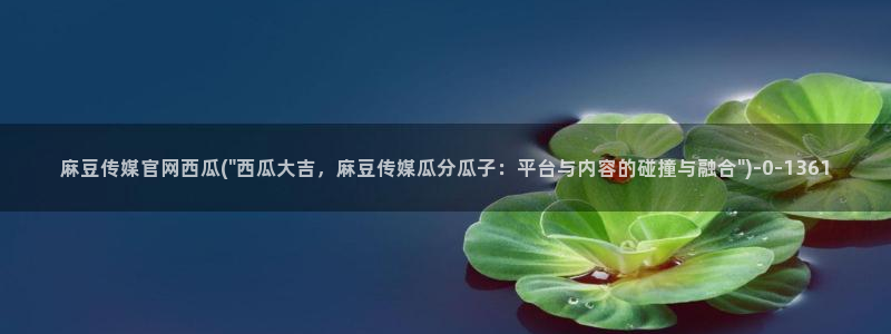 麻豆视频短片更新