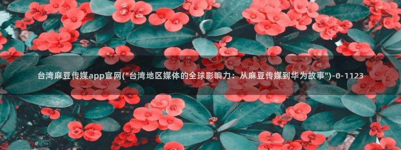麻豆视频 系列整理：台湾麻豆传媒app官网(\