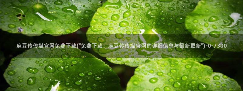 麻豆 完整版专区：麻豆传传媒官网免费下载(\