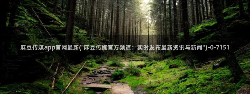 麻豆视频 完整版专区：麻豆传媒app官网最新(\