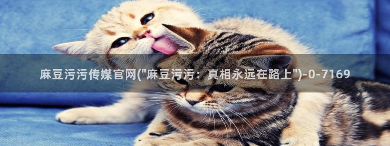 麻豆视频 高清下载：麻豆污污传媒官网(\